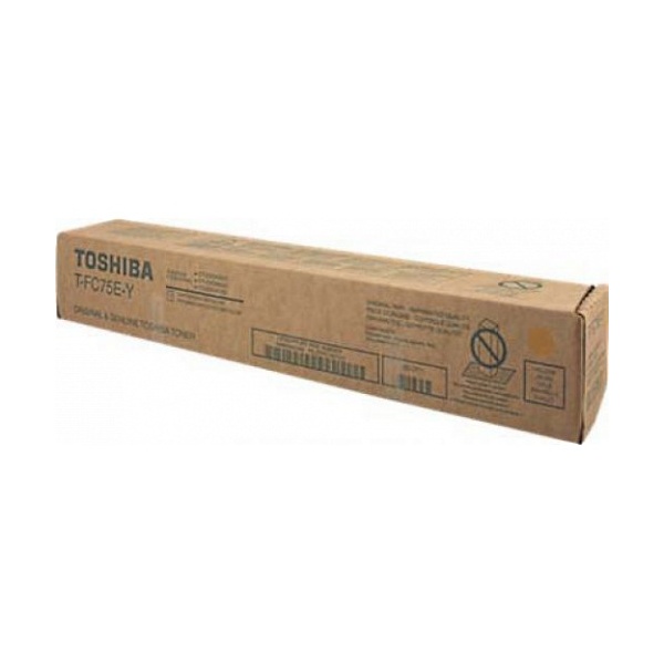 TOSHIBA T-FC75E-Y